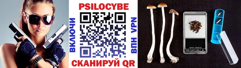 дарнет шоп Ивдель Галлюциногенные грибы мицелий